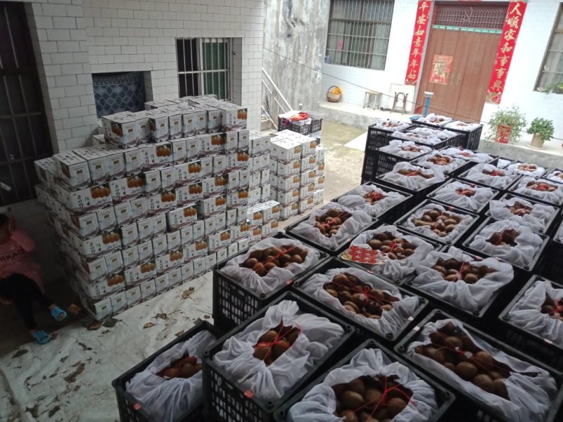 眉县冷库果〈徐香小桃60-90质量杠杠滴