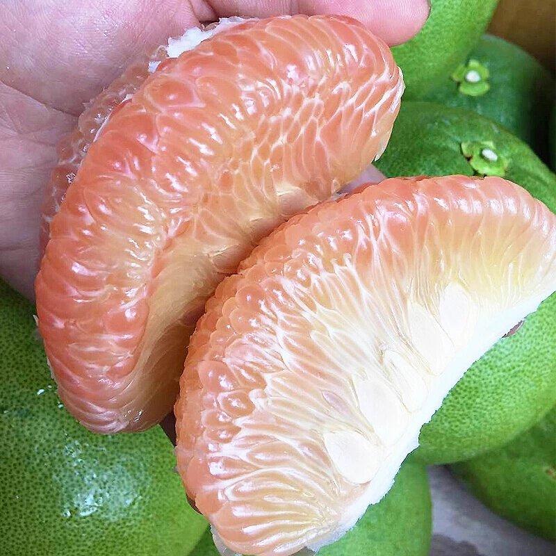 泰国红心柚子，越南红心柚，批发，一件代发