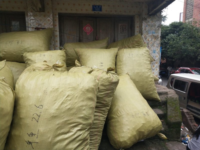 大通草大货直供