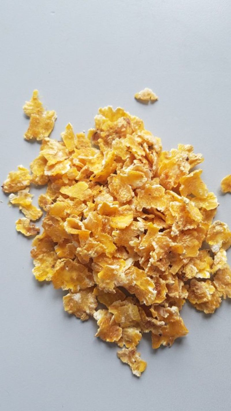 玉米DDGS，花生饼，喷浆豆渣，麦芽根，玉米皮面，