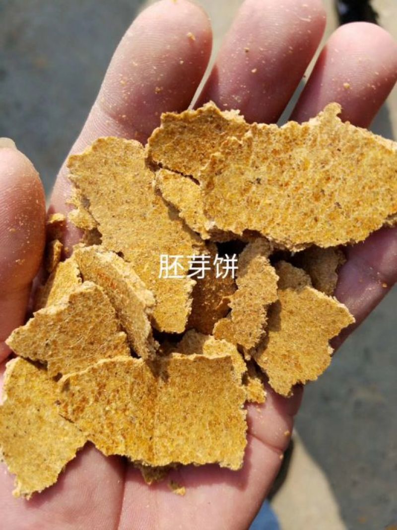 玉米DDGS，花生饼，喷浆豆渣，麦芽根，玉米皮面，