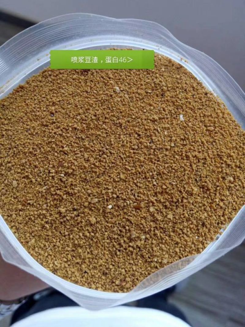 玉米DDGS，花生饼，喷浆豆渣，麦芽根，玉米皮面，