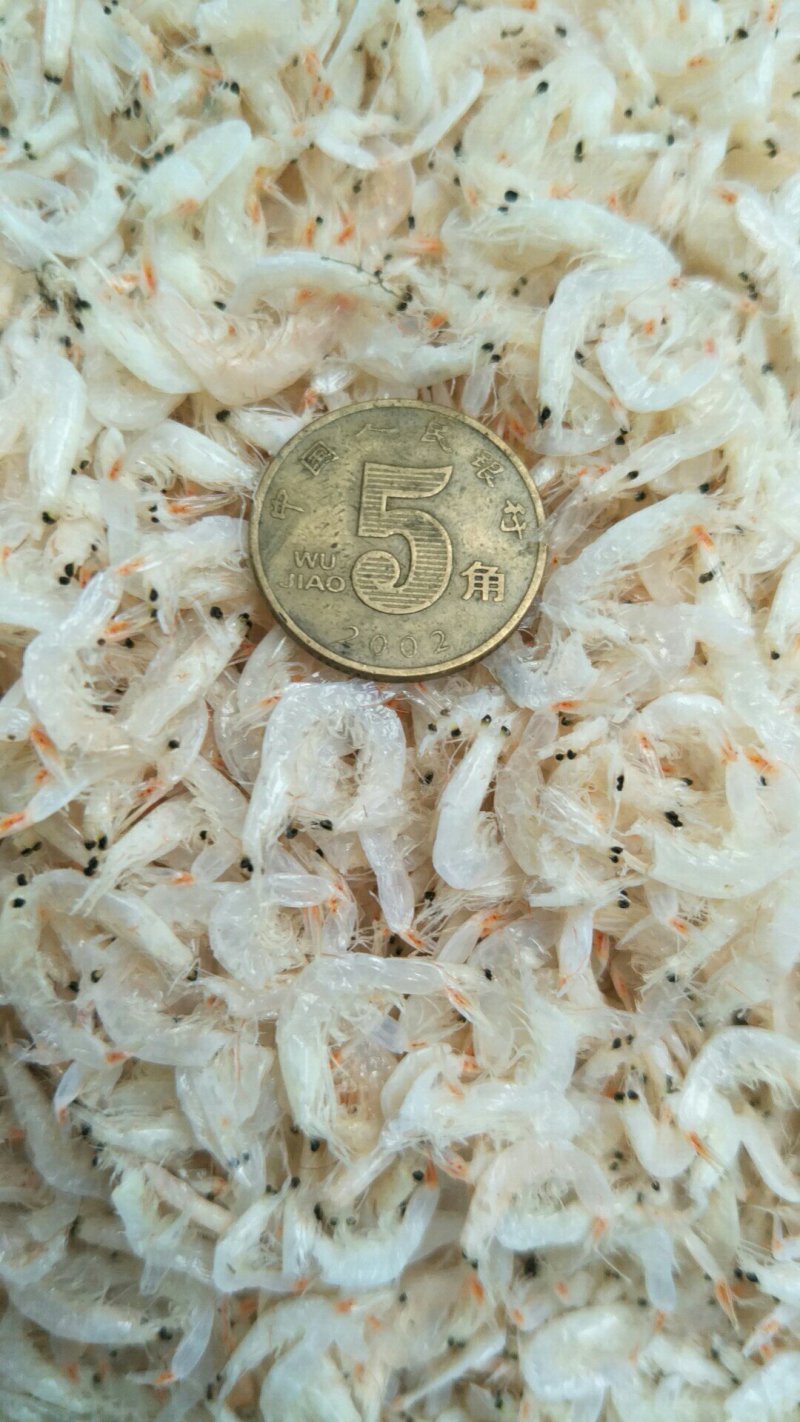 虾皮