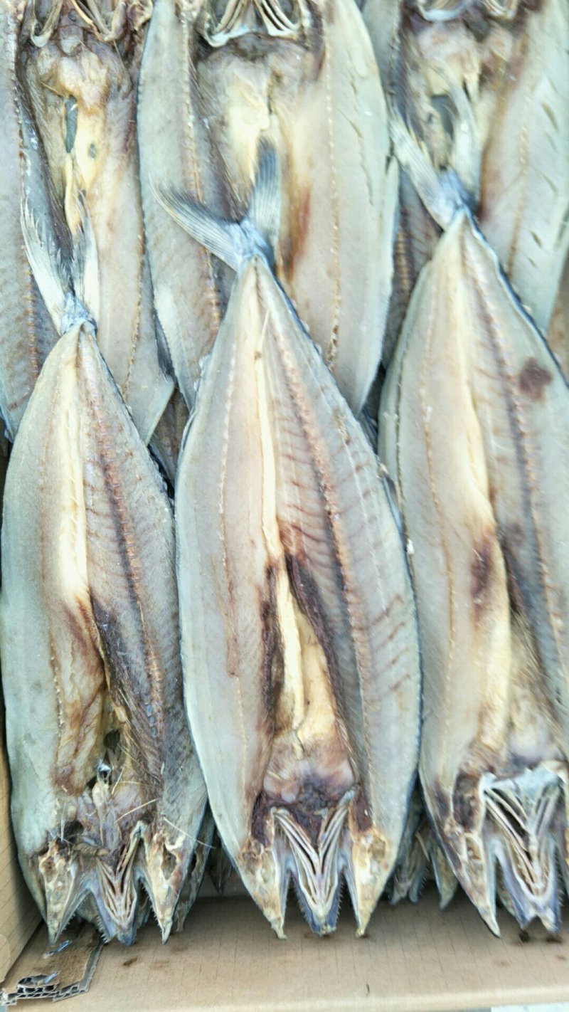 鲅鱼干