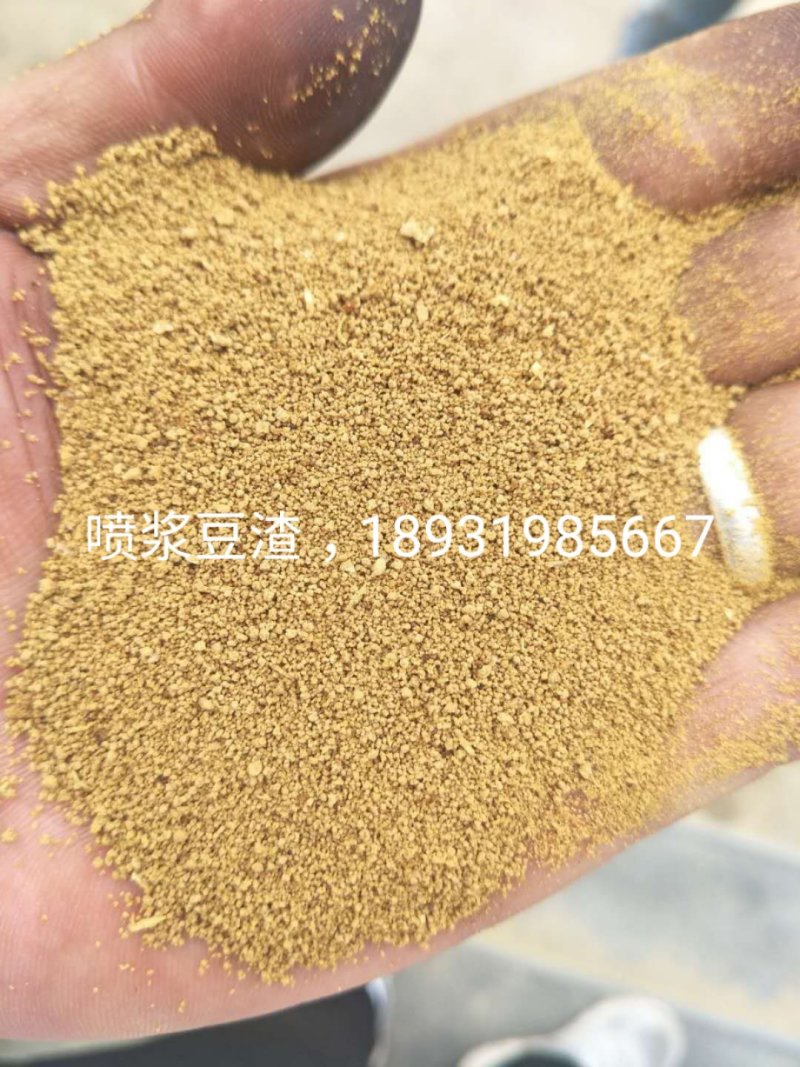 喷浆豆渣，蛋白45，