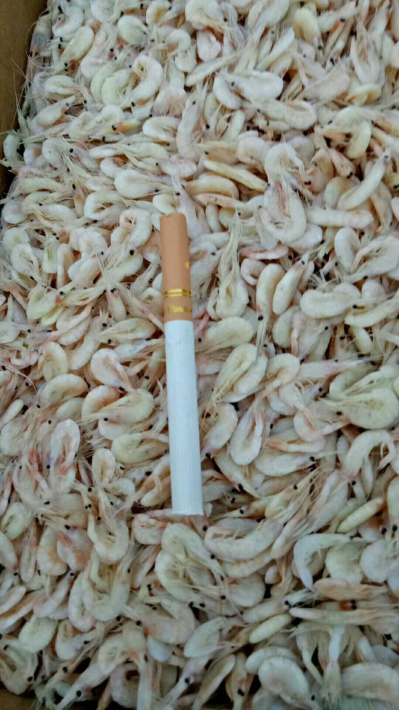 虾皮