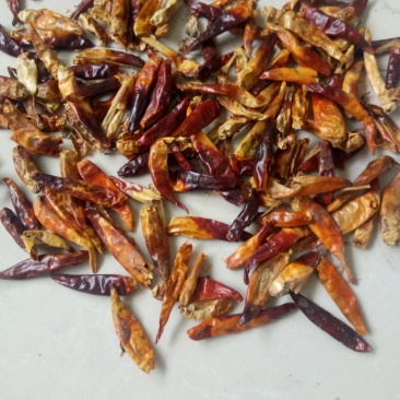 三英椒陈花皮椒