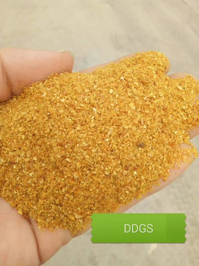玉米DDGS，蛋白26，脂肪8，灰分6，水分12