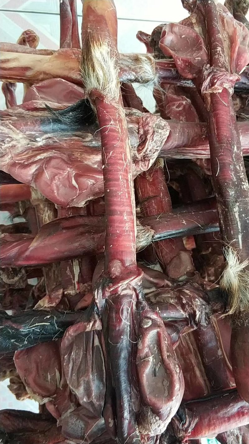 鹿鞭吉林鹿鞭双阳成年纯种鹿鞭泡酒磨粉保纯保真一根