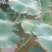 万亩莲藕