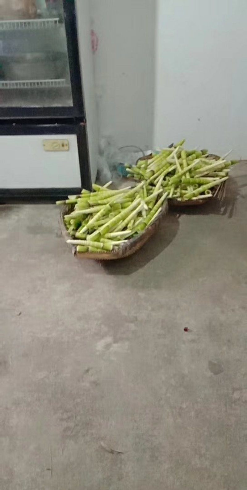 熊猫竹笋