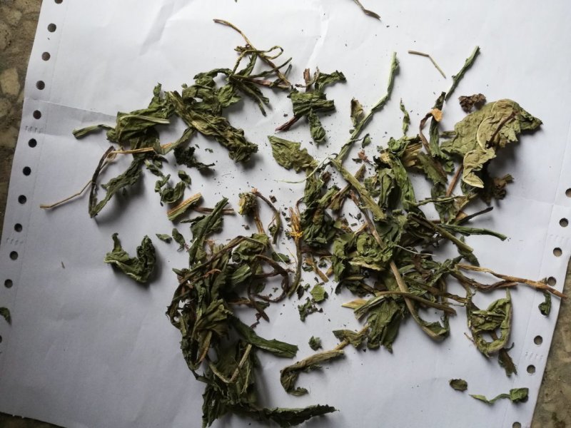 蒲公英统货批发诚信经营支持混批一件代发1000克起