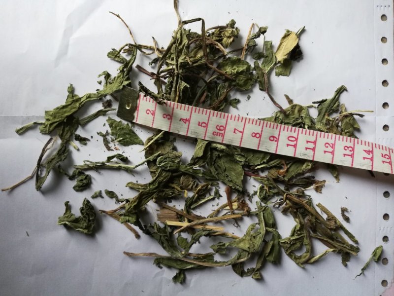 蒲公英统货批发诚信经营支持混批一件代发1000克起