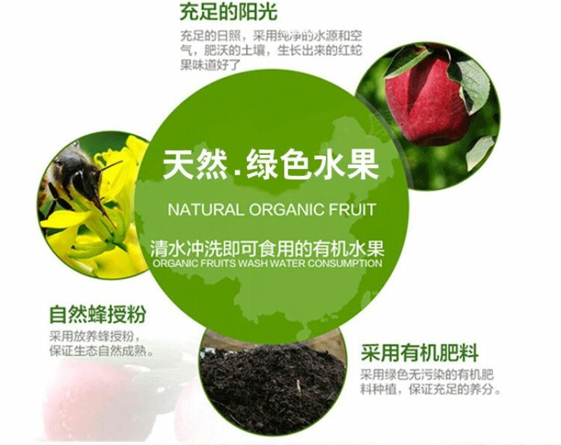 天水花牛苹果新鲜包邮刮泥吃的粉苹果8.5斤