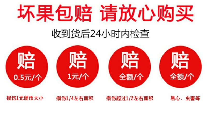 天水花牛苹果新鲜包邮，老人宝宝刮泥吃的粉苹果