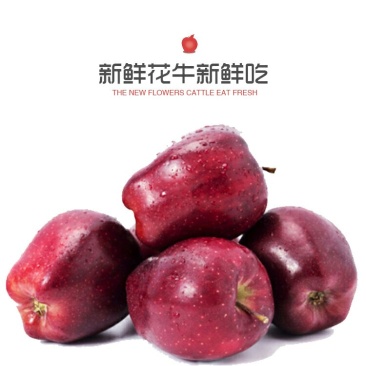 天水花牛苹果新鲜包邮，老人宝宝刮泥吃的粉苹果