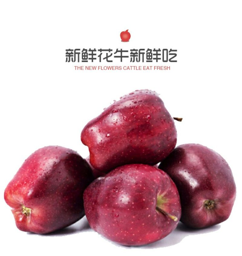 天水花牛苹果新鲜包邮，老人宝宝刮泥吃的粉苹果