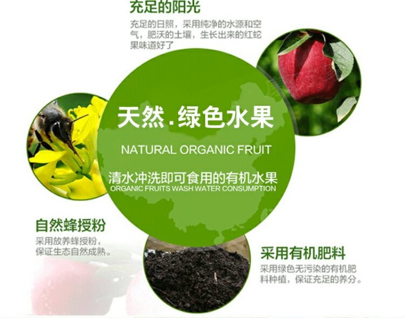 天水花牛苹果新鲜包邮，老人宝宝刮泥吃的粉苹果