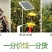 天水花牛苹果75以上24枚包邮