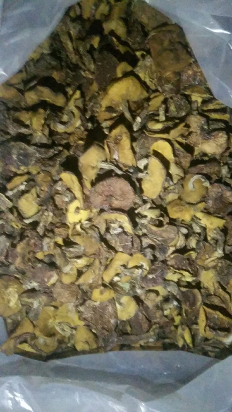东北野生烤干松蘑