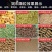饲料颗粒机小型220v家用大型三相养殖场饲料造粒机猪牛羊