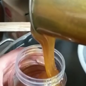 中蜂蜜