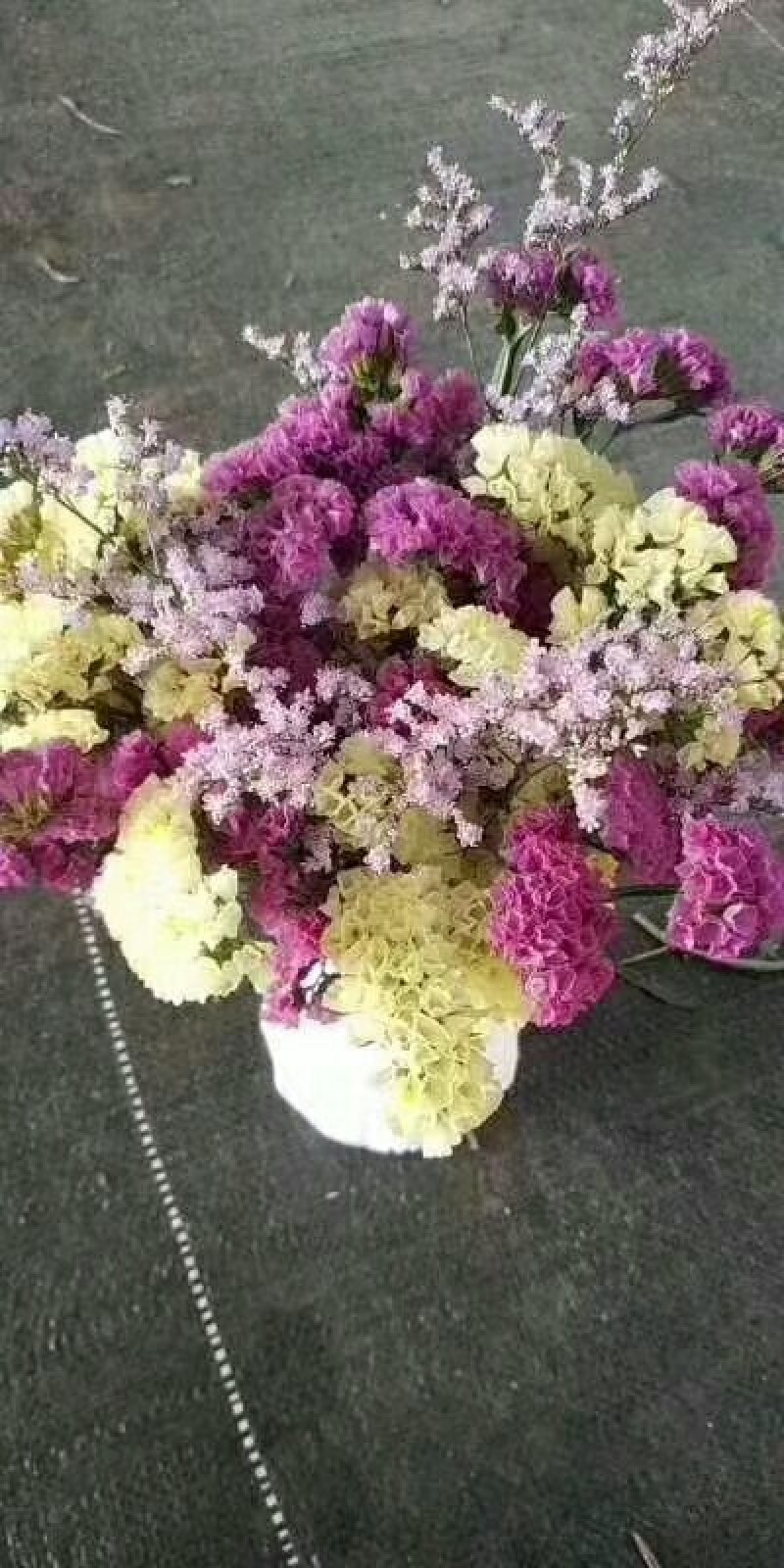 勿忘我干花