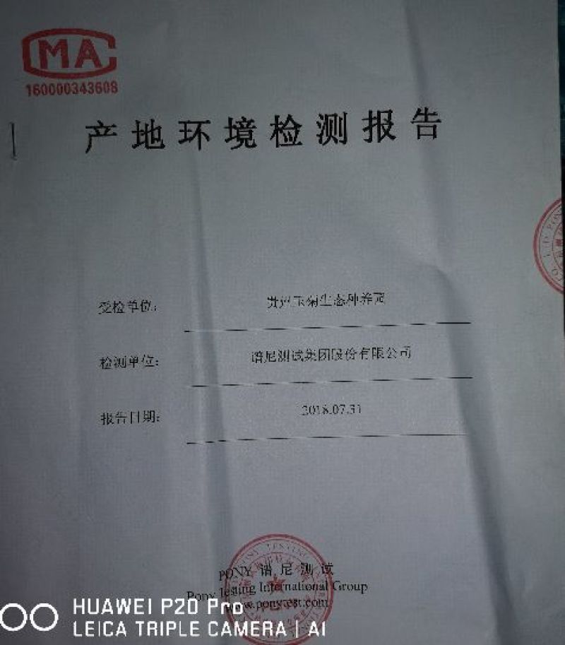 贵长猕猴桃70~90克