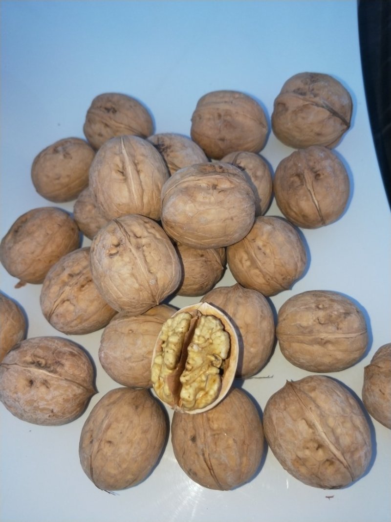 新新2号核桃箱装新货