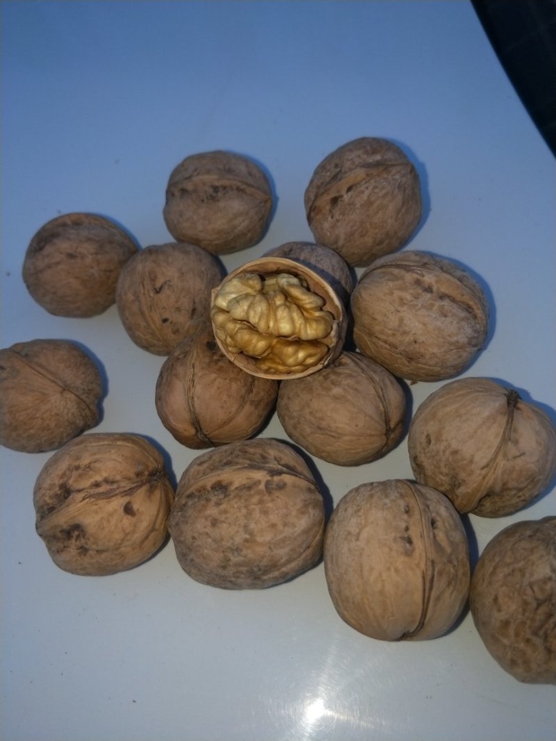 新疆莎车县185核桃去皮干新核桃无漂洗