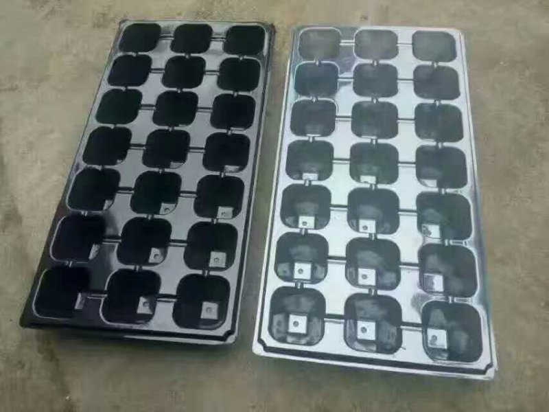 育苗产品