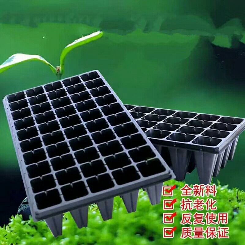 育苗产品