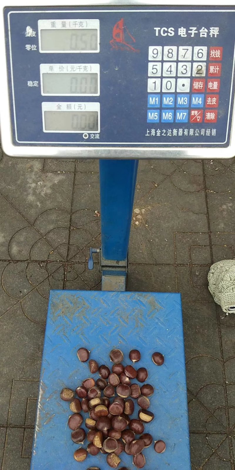 板栗
