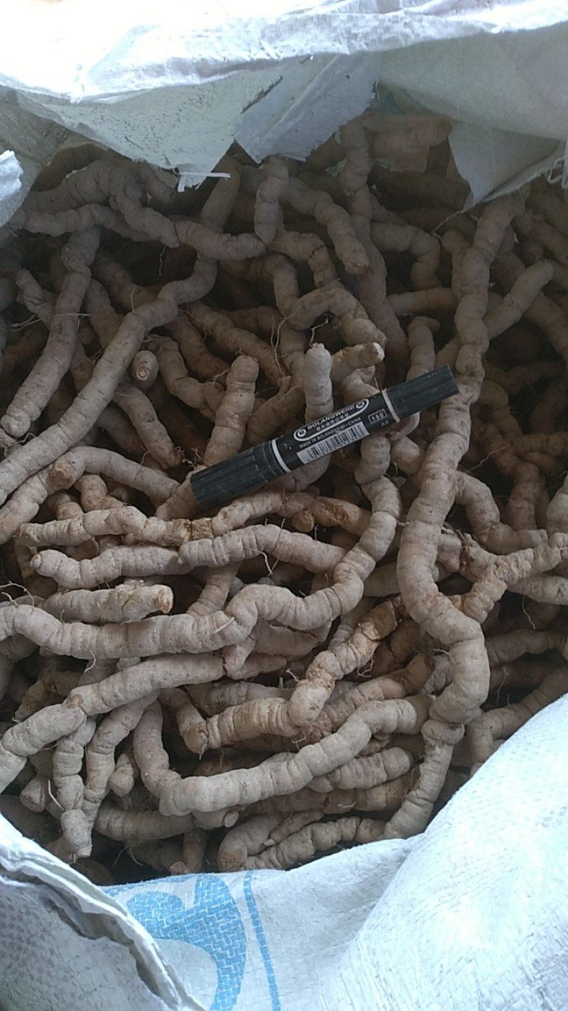 特大巴戟，一手货源，量大有优惠，全部都是手指那么大的哦