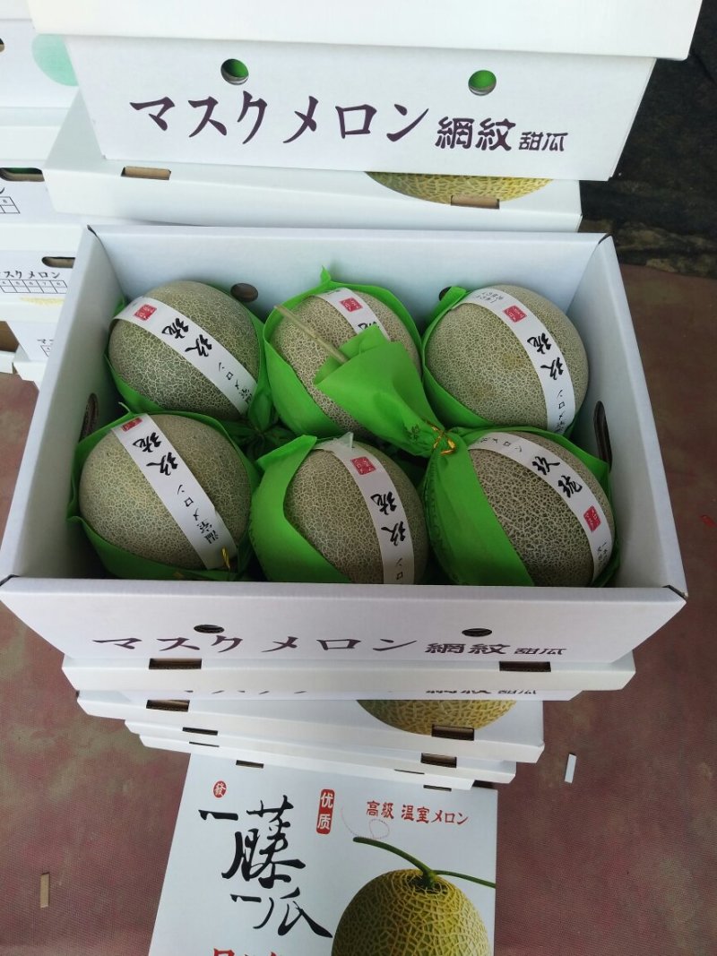 小密25号哈蜜瓜，大量上市中，产地直供新鲜采摘，