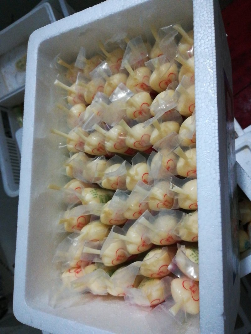 日本豆腐