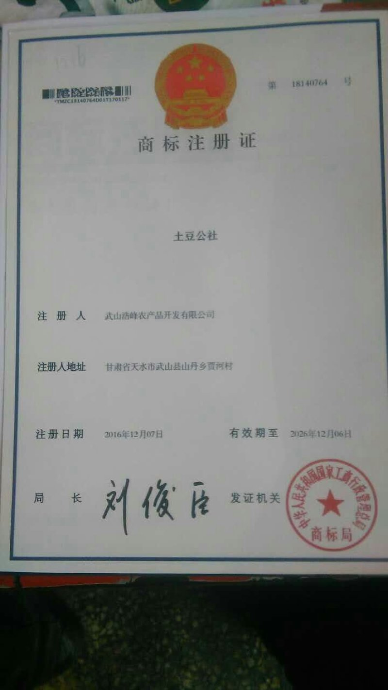 甘肃特产土豆公社，纯手工无矾土豆粉条