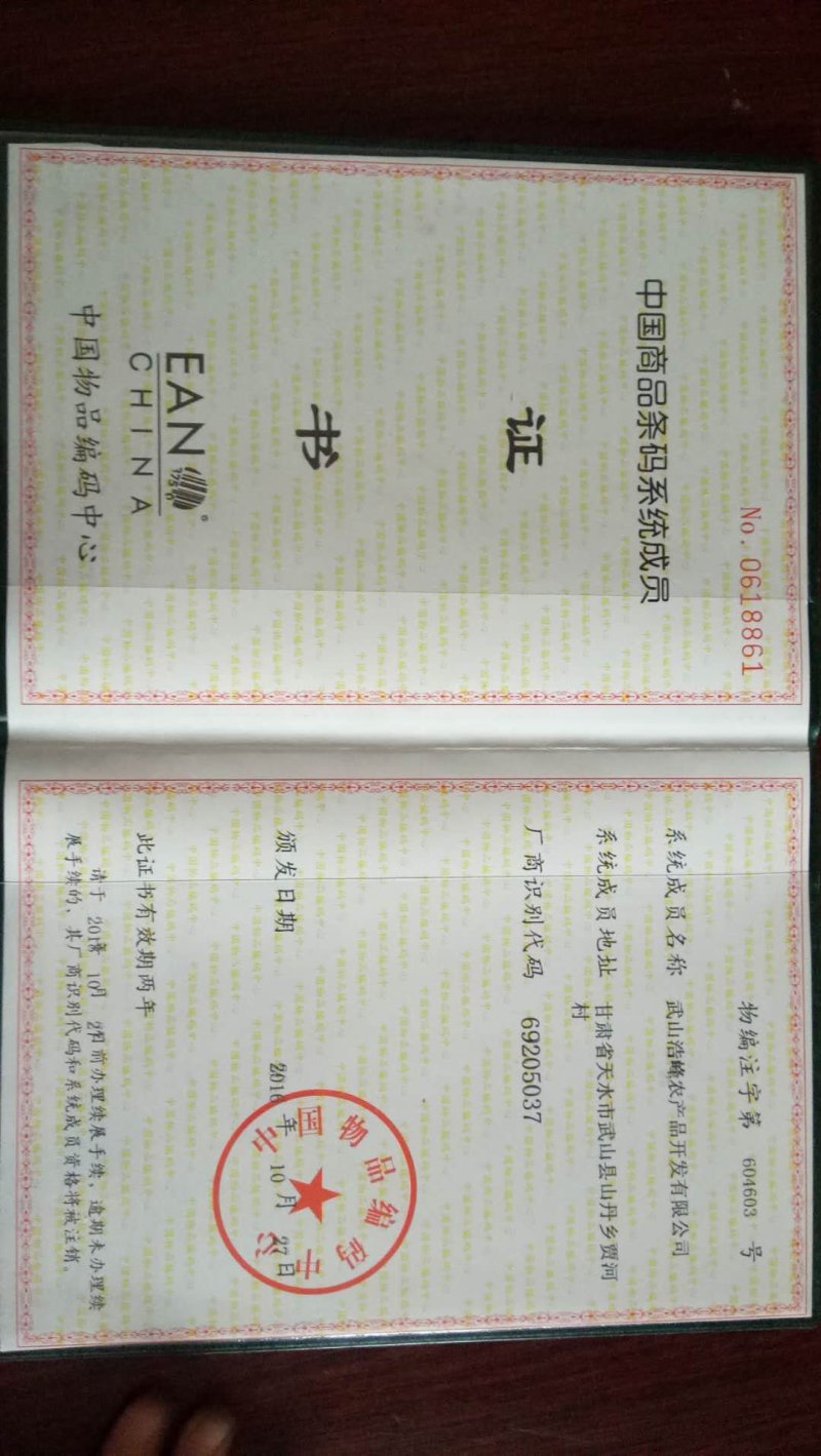甘肃特产土豆公社，纯手工无矾土豆粉条