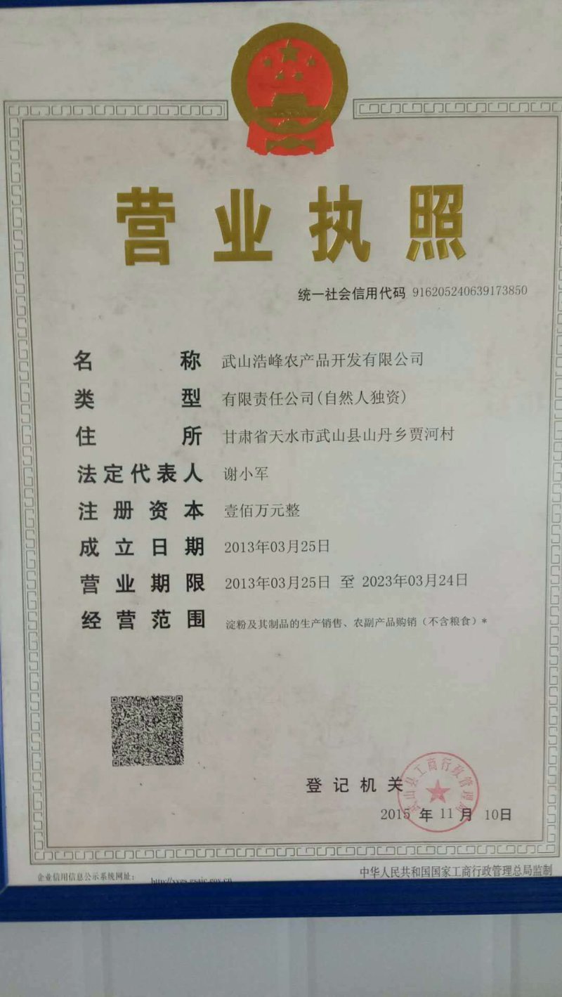 甘肃特产土豆公社，纯手工无矾土豆粉条