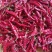 干辣椒