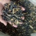 蜂蛹，竹虫，柴虫，