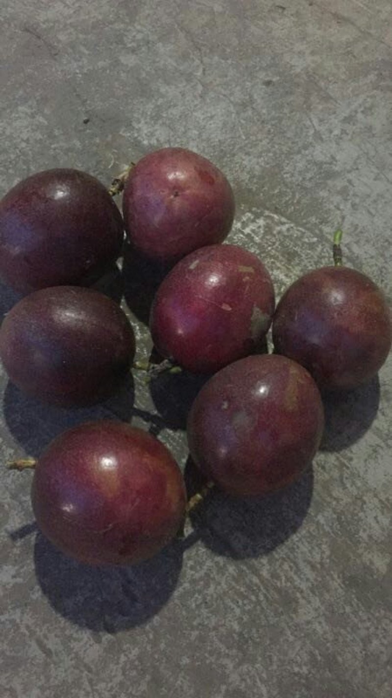 百香果.`-，.,.
