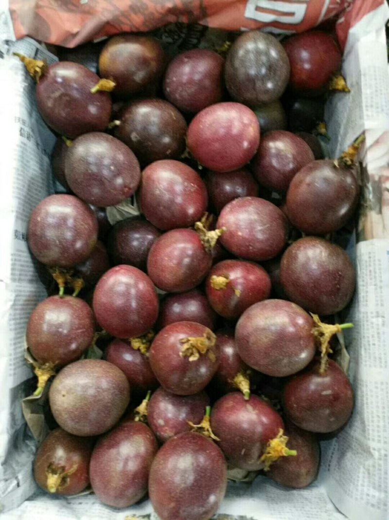 百香果.`-，.,.