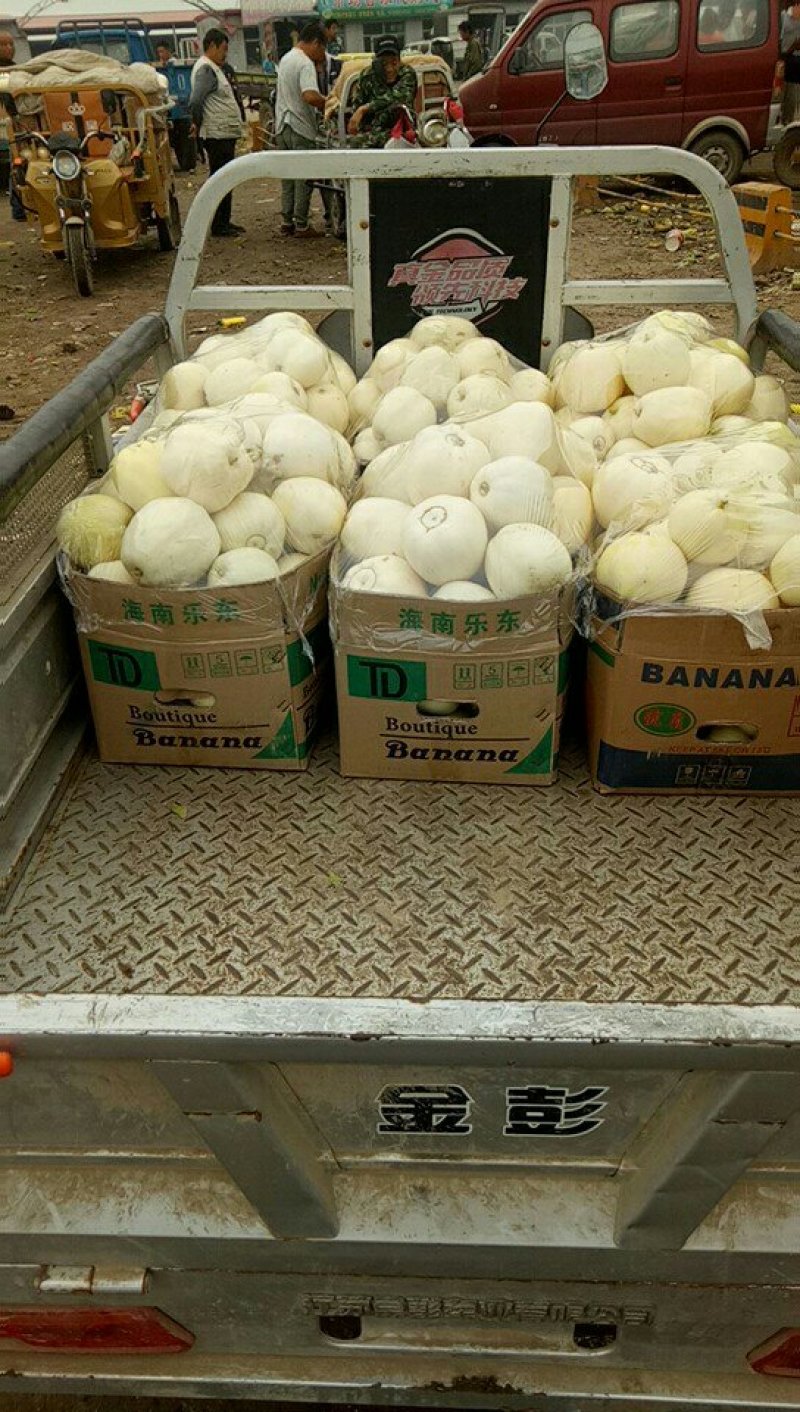 羊角蜜