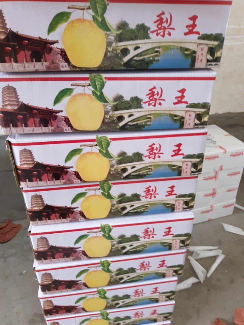 古桥名寺赵州雪花梨果园直发绿色无公害脆甜多汁