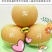 玉露香纸箱200~250g