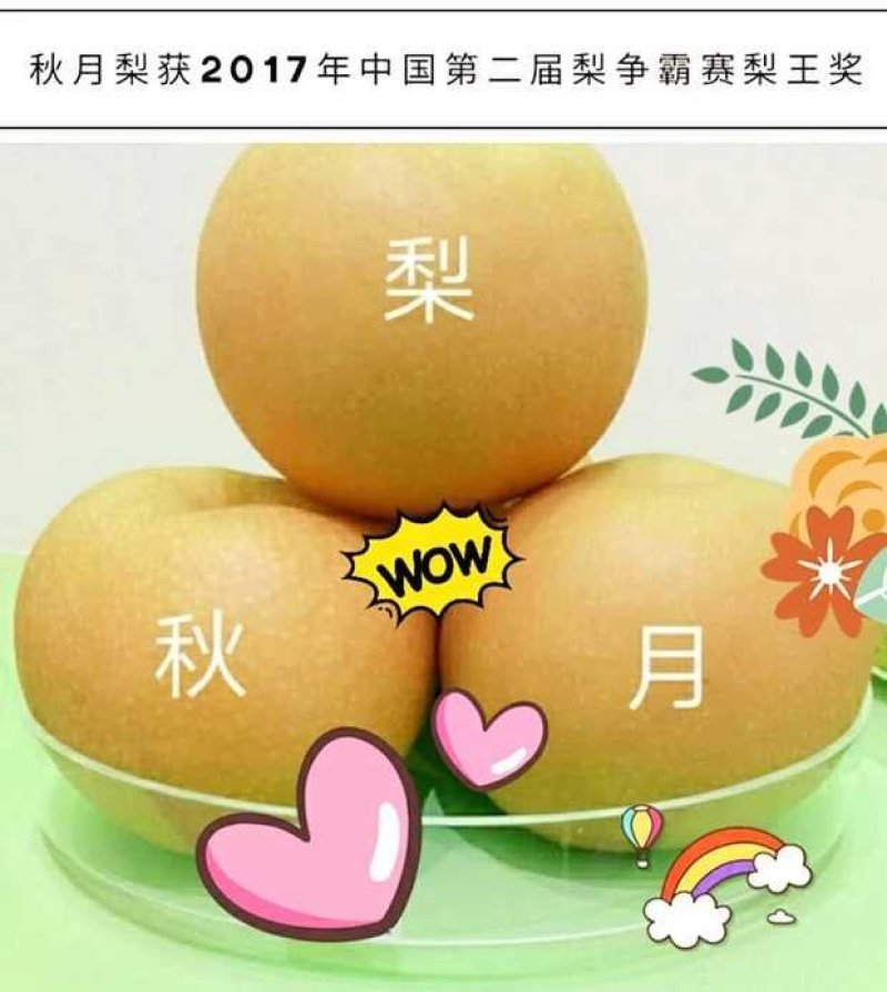 玉露香纸箱200~250g