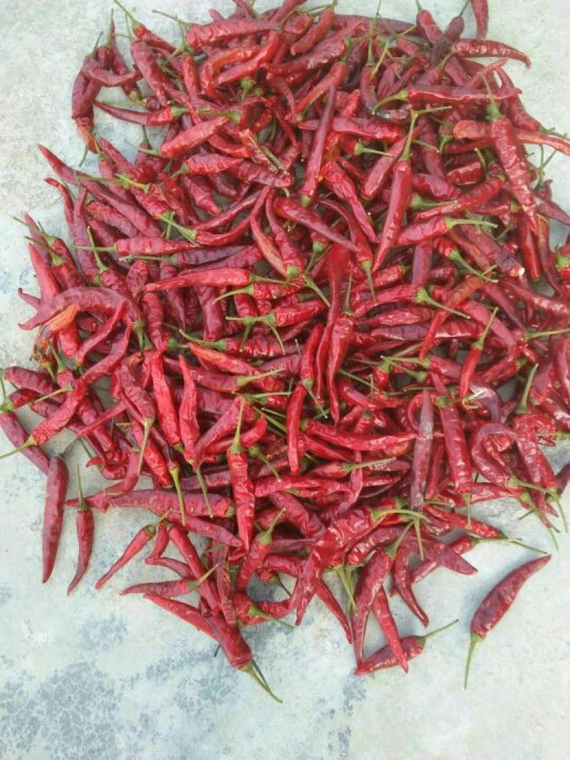 优质辣椒干，