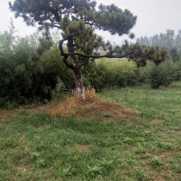 造人间美景，迎天下客人
