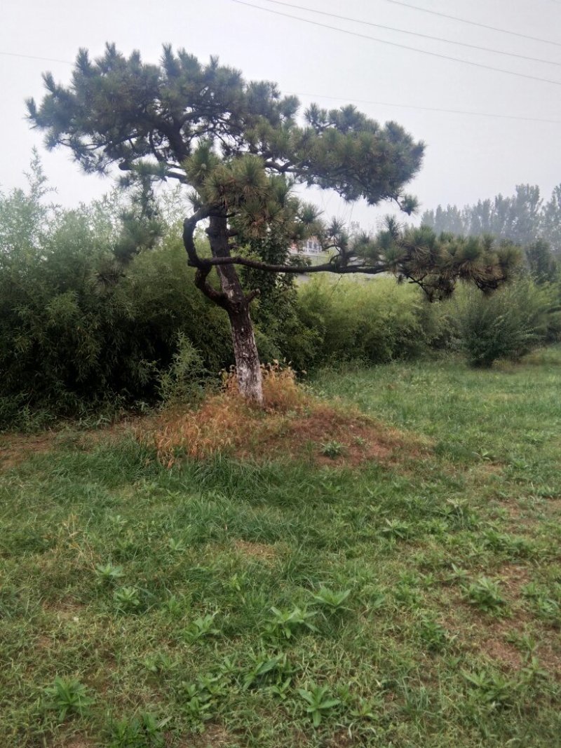 造人间美景，迎天下客人